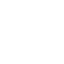 The Brique