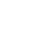 The Brique